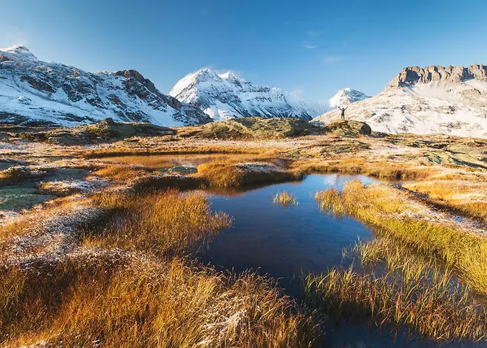 Appartement 2 - Charming 2 Bedroom Haven In *